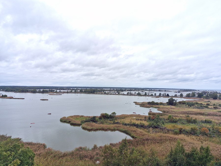 Yfirlitsmynd af svæðinu nálægt Svedjehamn í Kvarken-eyjaklasanum.