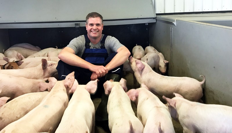 Svínabændur fá frest til aðlögunar