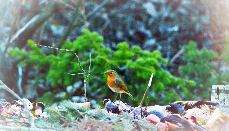 Þjóðminjasafnið og jarðgerð