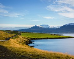 Tryggjum nýliðun bændastéttarinnar