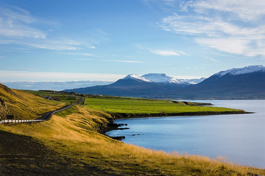 Tryggjum nýliðun bændastéttarinnar