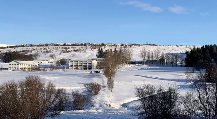 Keldur eru eini vettvangurinn í landinu þar sem rannsóknir fara fram á dýrasjúkdómum á mörgum fræðasviðum og eru í raun dýraheilbrigðisstofnun landsins.