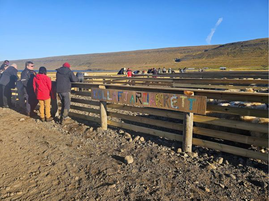 Heimafólk smíðaði nýja rétt í Kollafirði og var hún vígð með fyrstu réttum síðla september. Réttin stóðst væntingar og gott betur.