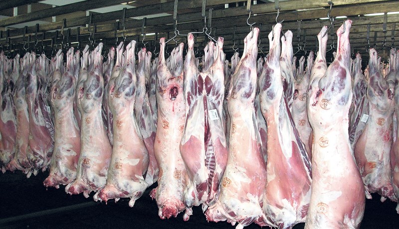 Hækkun upp á 35,5 prósent að meðaltali fyrir dilka yfir landið