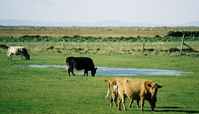 Markmiðum mjólkursamnings hefur verið náð