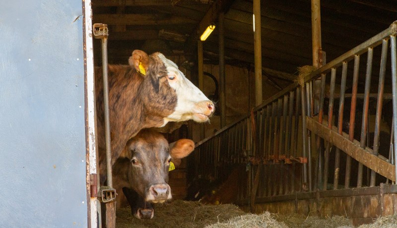 Lækkað verð á greiðslumarki