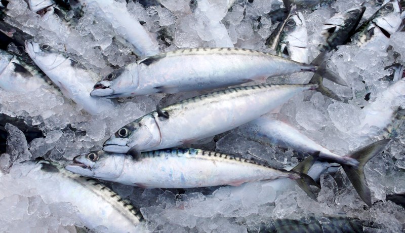 2.000 tonna viðbótarúthlutun í makríl