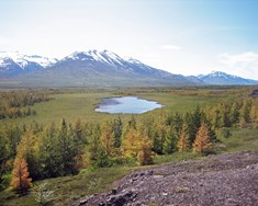 Landbúnaður í velsældarhagkerfi