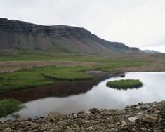 Kosningarnar snúast líka um landbúnað