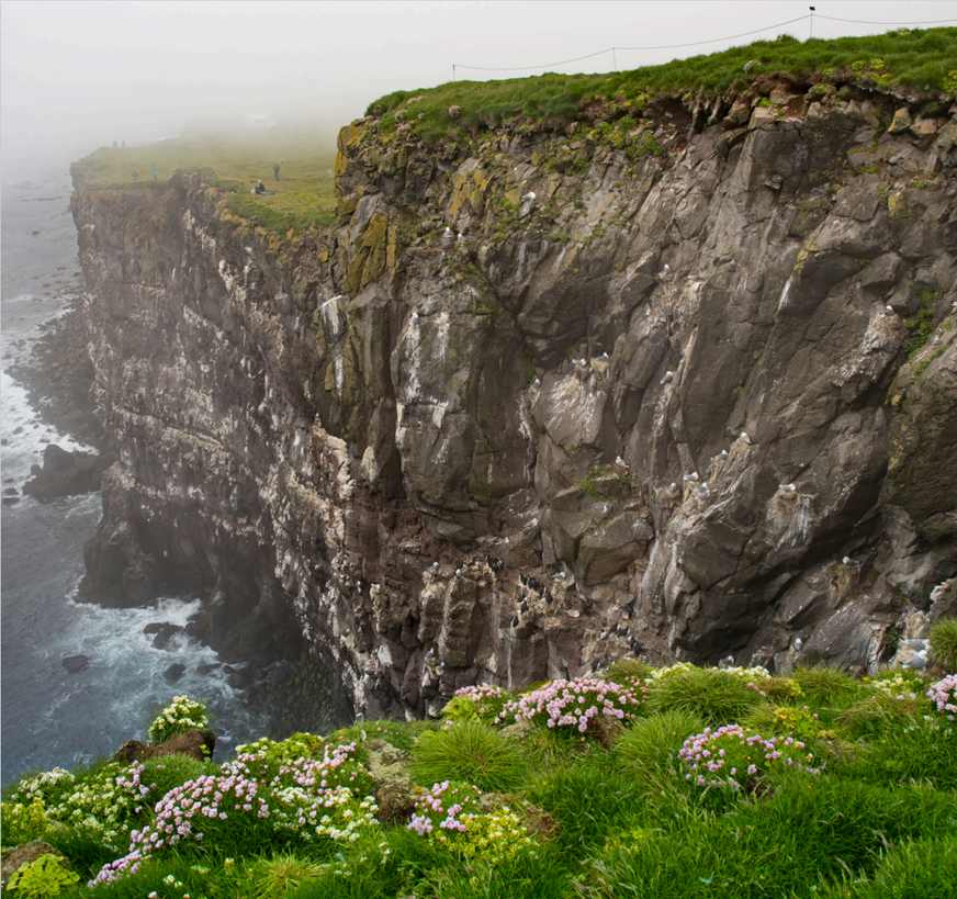 Látrabjarg, þ.e. Bæjarbjarg og hluti lands Hvallátra, er friðlýst sem friðland.