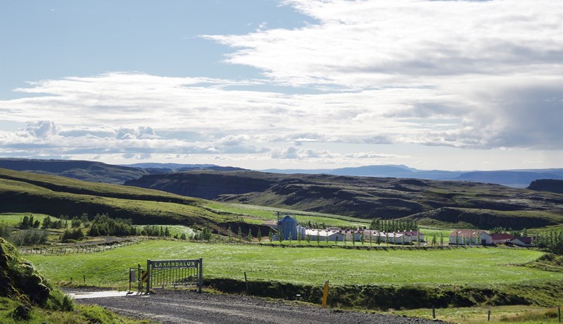 Um 80% af fóðrinu er eigin framleiðsla