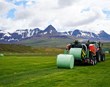 Nýtt meistaranám í sjálfbærum landbúnaði og byggðaþróun