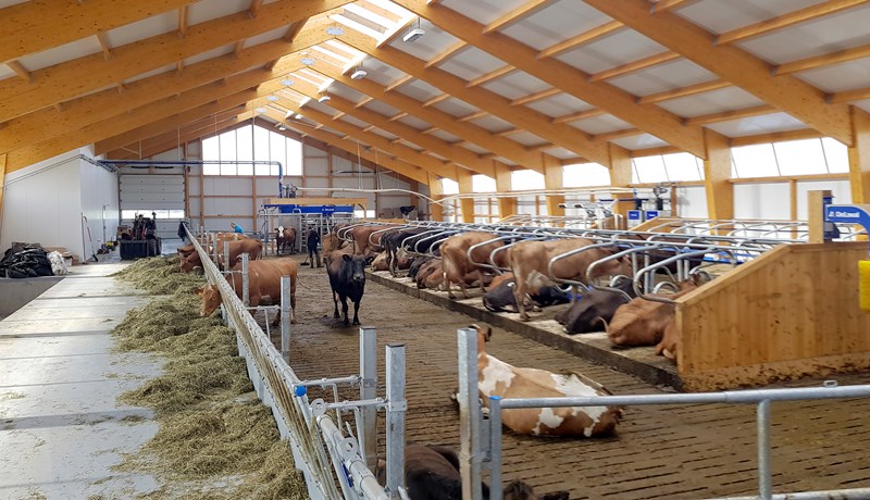 Nýja fjósið verður algjör bylting í búskapnum