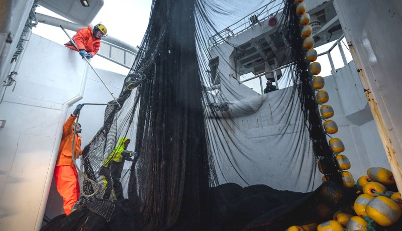 Öryggismál sjómanna