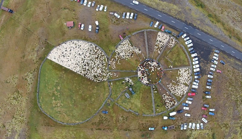 Á fimmta þúsund fjár stefnt í Melarétt