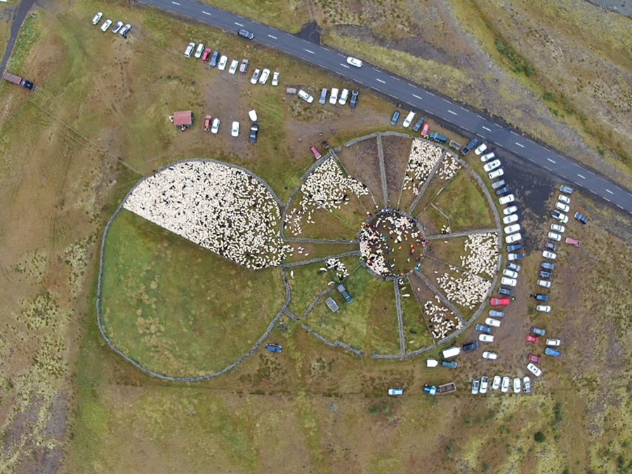 Melarétt í Fljótsdal. Hér má á loftmynd sjá safnhólfið krökkt af kindum og búið að draga nokkurt fé í eina átta af þrettán dilkum. Heimtur voru þokkalegar en veður válynd þótt betur færi en á horfðist um tíma.