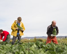 Stoð atvinnulífs og lykill að framtíðarfæðuöryggi