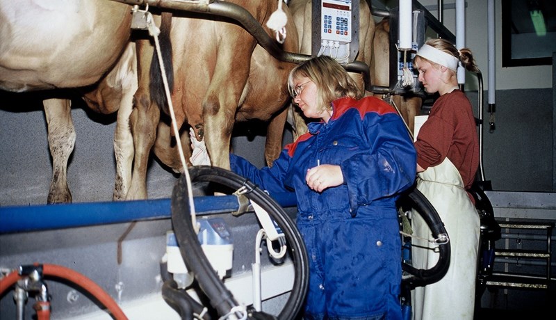 Heildarsala á mjólkurafurðum hefur aldrei verið meiri