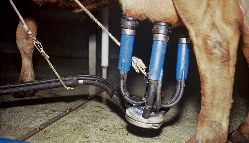 Greiðsla fyrir mjólk umfram greiðslumark en innvigtunargjald hækkar