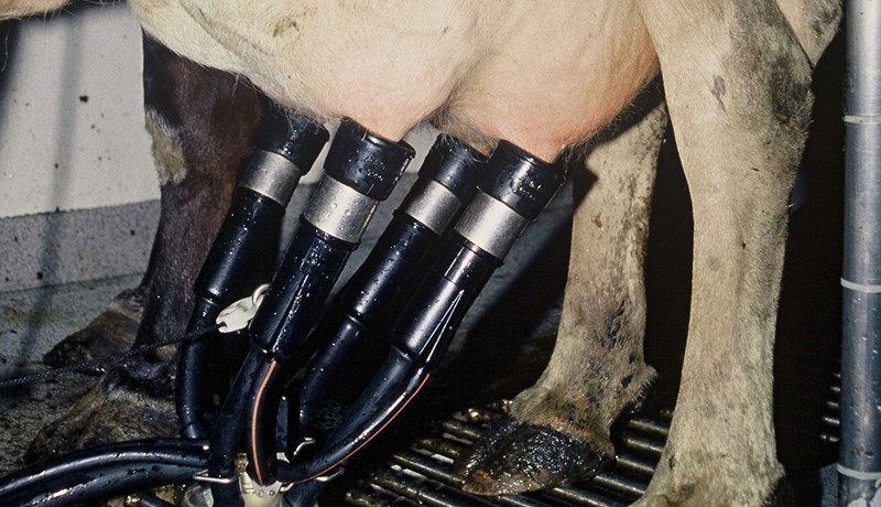 Hækkun á sérstöku innvigtunargjaldi á umframmjólk