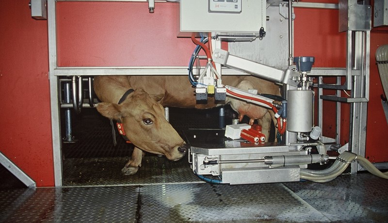 Um hvað er kosið 2019?