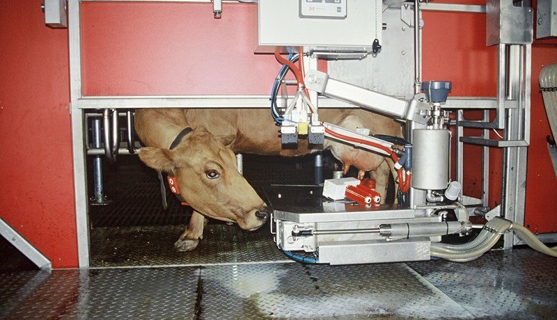 Efnainnihald mjólkur