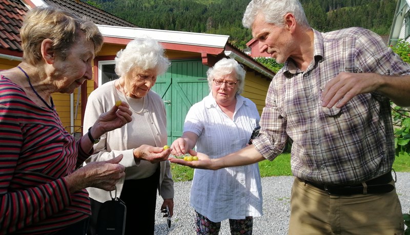 Þar snýst lífið um ávaxtaræktun og safagerð