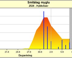 Fyrsta myglulausa sumarið frá 2018