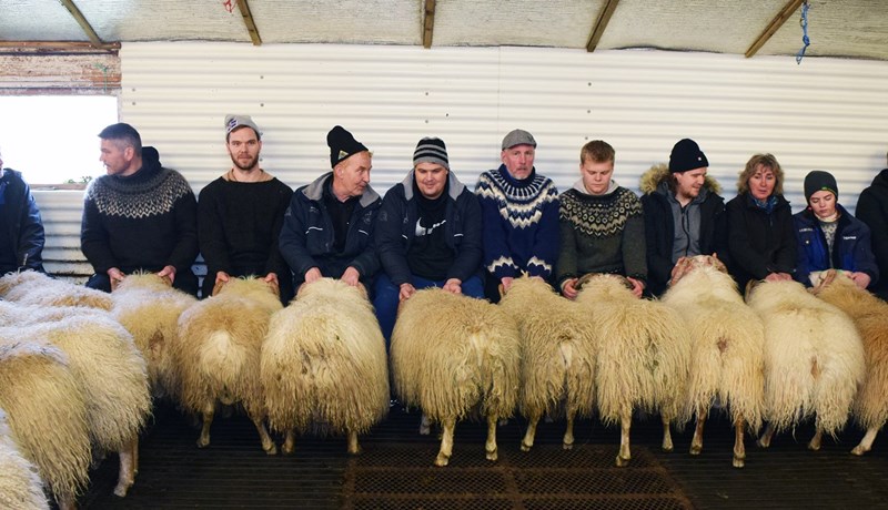 Ásbjörn Pálsson og Helga Jóhannsdóttir, bændur í Syðri-Haukatungu II, áttu besta lambhrútinn