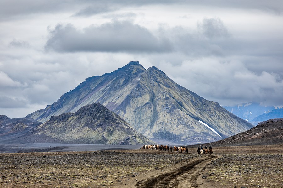 Næsta sumar verður boðið upp á skipulagðar hestaferðir þar sem fólk mætir með sína eigin hesta og þau hjónin sjá um rest.