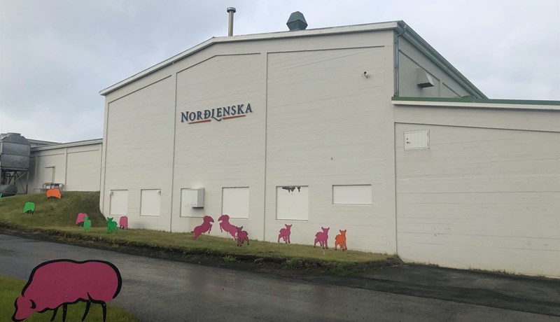 Norðlenska hækkar afurðaverð fyrir dilkakjöt um 6,4 prósent