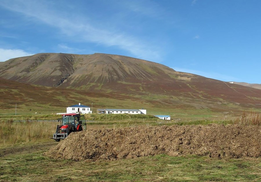 Moltugerðin á Syðra-Holti er nú í uppnámi eftir að stopp var sett á notkun fiskimjöls.