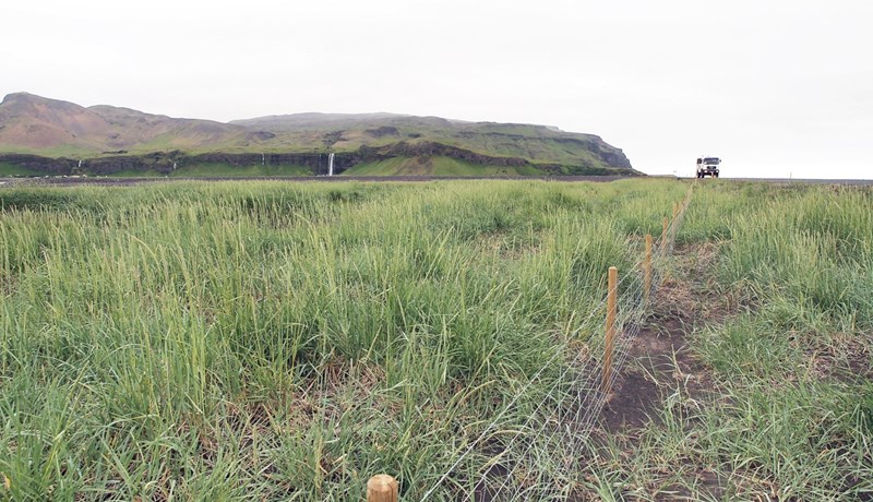 Unnið á tæplega sjö þúsund hekturum