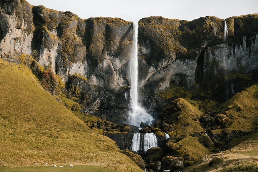 Af virðingu við landið