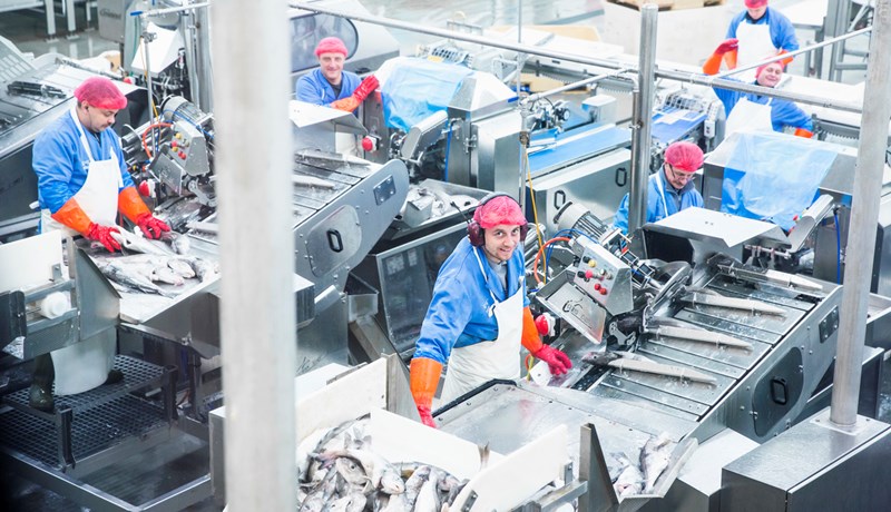 Yfir helmingur erlent vinnuafl