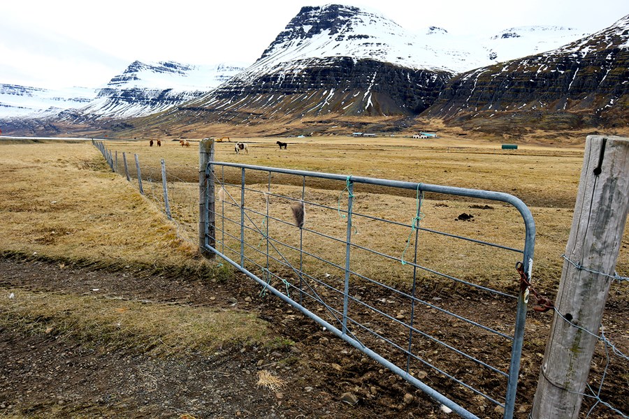 Á Austurlandi er nú unnið að verkefninu Vatnaskil. Verkefninu er ætlað að efla nýsköpun og stuðla að fjölbreyttara atvinnulífi í dreifbýli á Austurlandi. Myndin er frá Reyðarfirði.