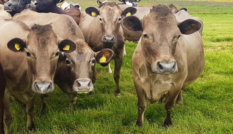 Bændur eru hluti af lausninni