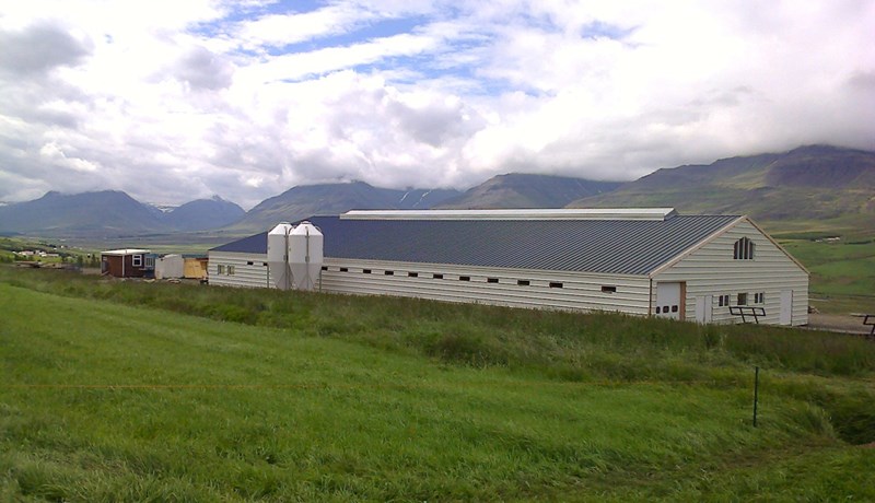 Nýtt glæsilegt hátæknifjós að Sigtúnum