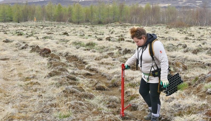 Skógrækt – er hún rétta framlag Íslands til loftslagsmála?