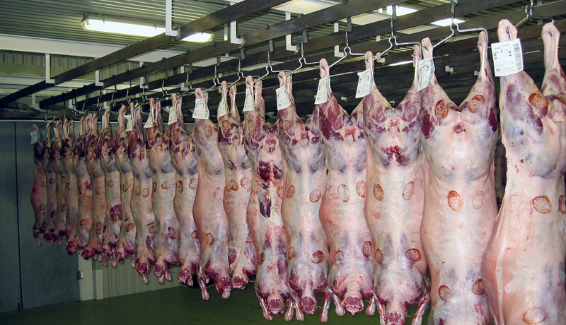 Verð fyrir sumarslátrun hjá Sláturhúsi KVH