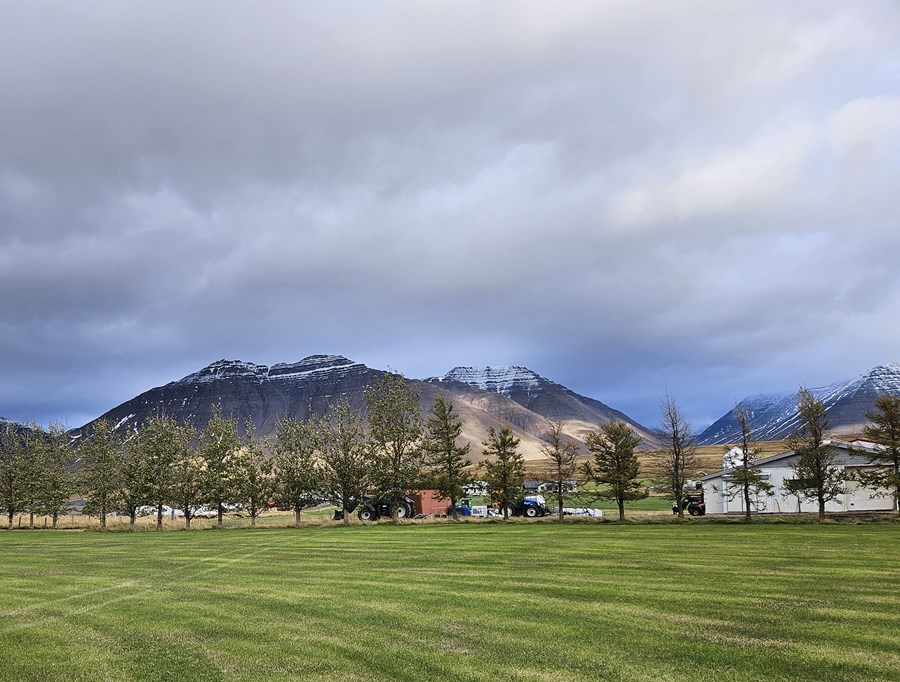 Fallegt og snyrtilegt er að Stóru-Ökrum 2 sem fengu nýlega umhverfisverðlaun. Fjós, útihús og íbúðarhús eru römmuð inn með trjám og lággróðri og fallegt samræmi í litavali húsa.