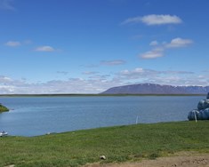 Bleikjuharðfiskur úr heimilisbakarofninum