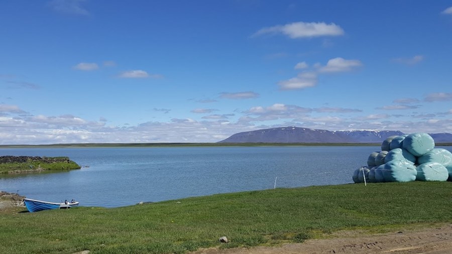 Svartárvatn upp af Bárðardal. Myndin tengist efni greinarinnar ekki beint.