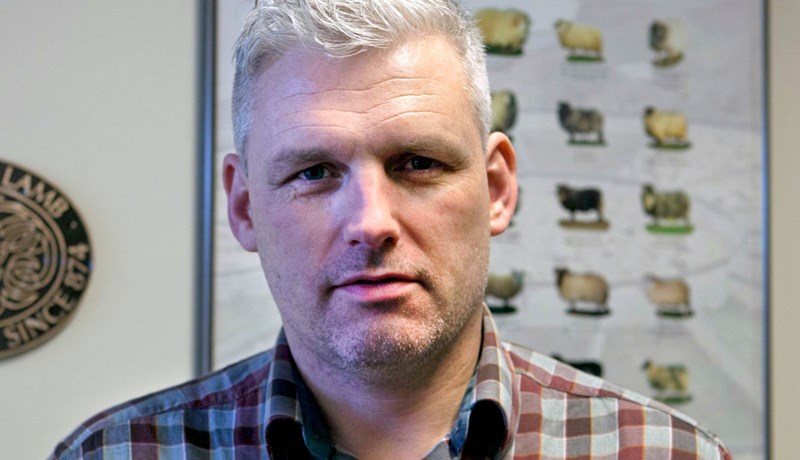 Kolefnisjafnað Ísland