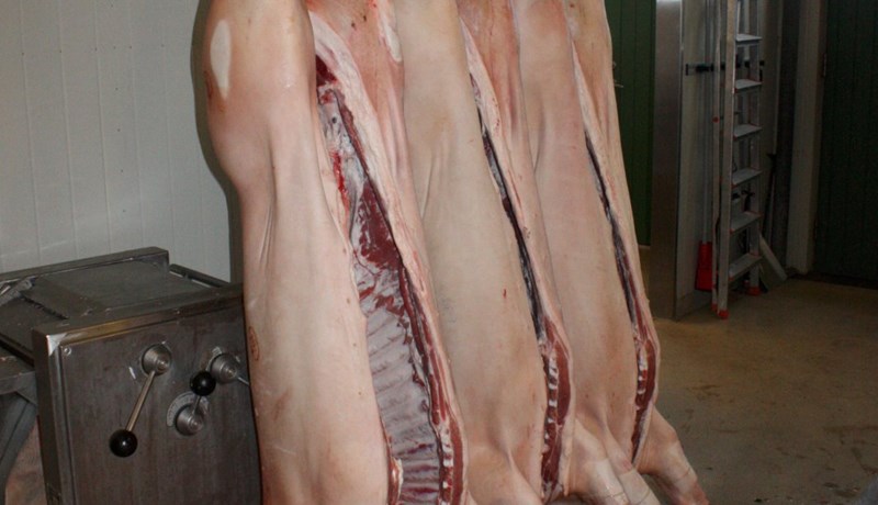 Svínakjötsinnflutningur jókst á fyrstu mánuðum ársins