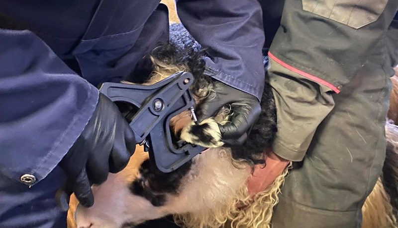 Um ARR og átaksverkefnið fram undan í arfgerðargreiningum