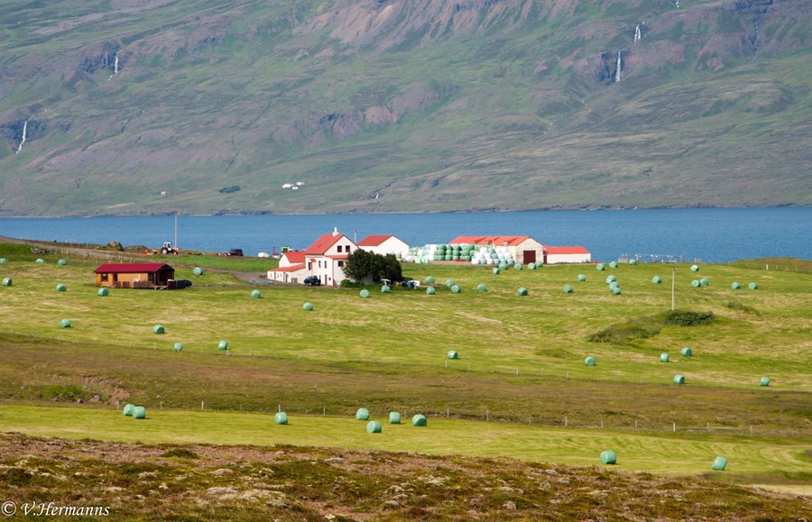 Þernunes í Reyðarfirði.
