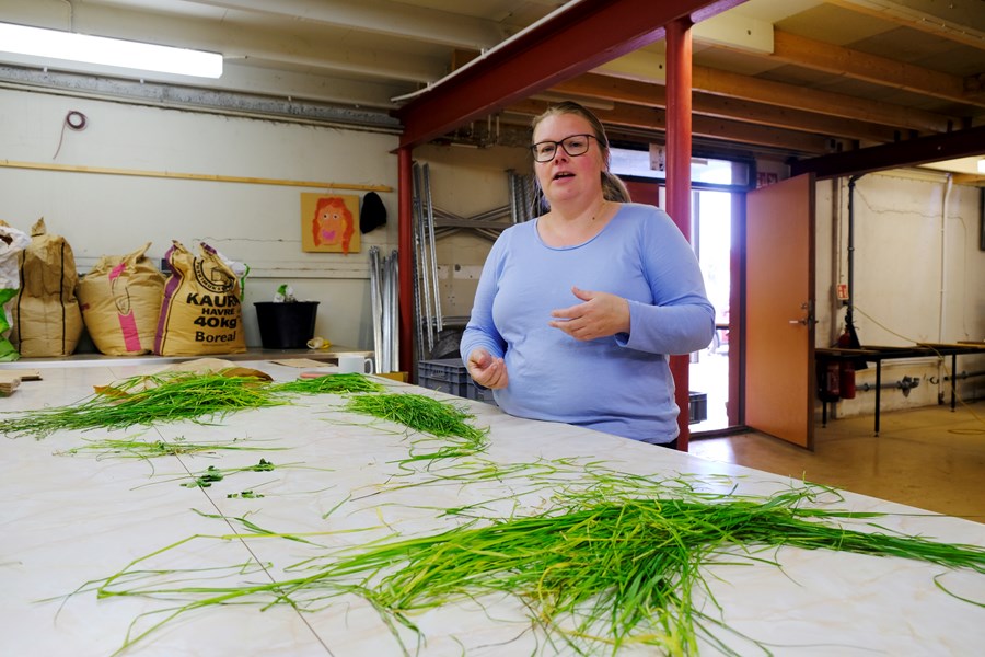 Þórey Ólöf Gylfadóttir, lektor við Landbúnaðarháskóla Íslands.