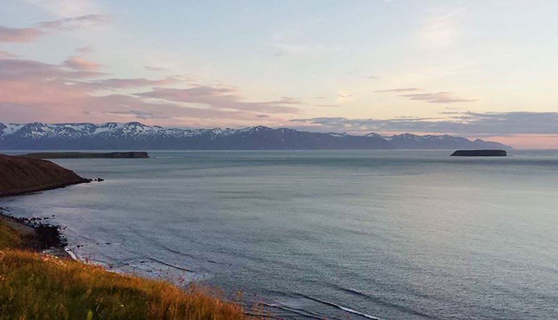 Erfingjavandinn er krabbameinið sem leggur sveitirnar í eyði