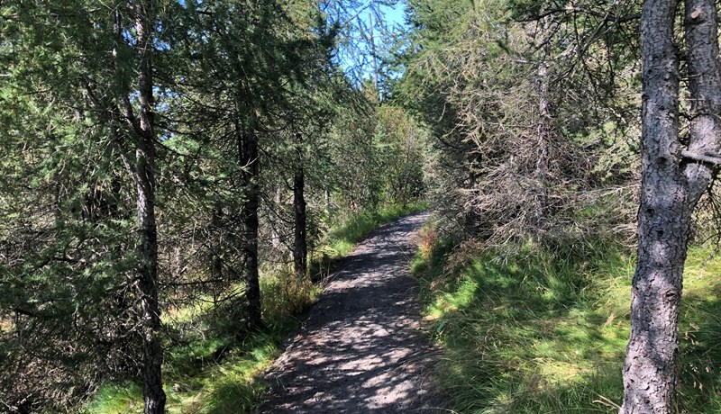 Alls engar illdeilur milli stofnananna